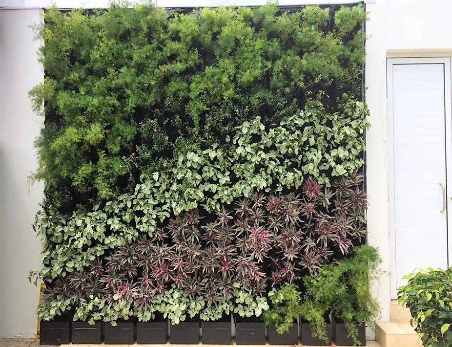 Cover for Plantscaping